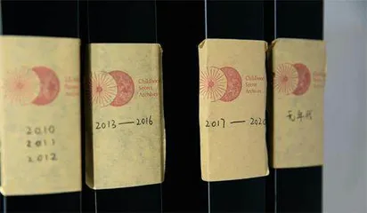 守护童年的微光9