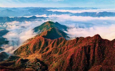秦岭核心保护区，请绕行