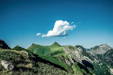 守护秦岭“蓝”力量