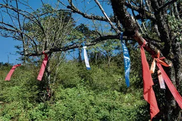守护秦岭“蓝”力量1