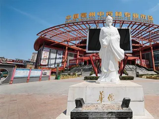 擦亮千年药都金字招牌