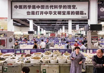 擦亮千年药都金字招牌1