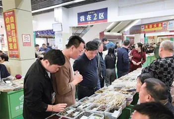 擦亮千年药都金字招牌4