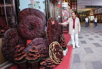 擦亮千年药都金字招牌5