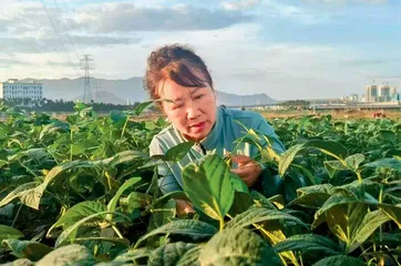 补链强链拓链强韧性1