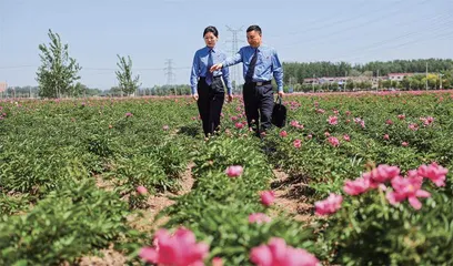 擦亮千年药都金字招牌9