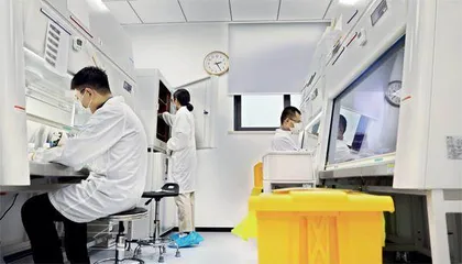 港股创新药的涨跌密码