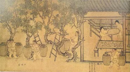 南宋·蚕织图1