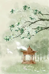 夏雨最多情