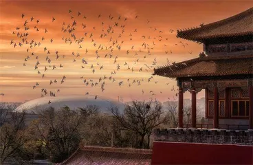 北京“雄心”：打造全球顶级生物多样性之都