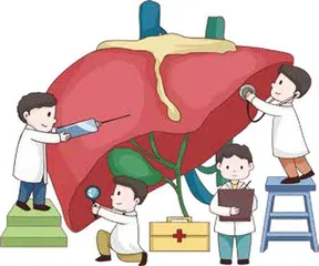 脂肪肝:了解、预防与科学治疗1
