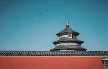 沿中轴线观鸟