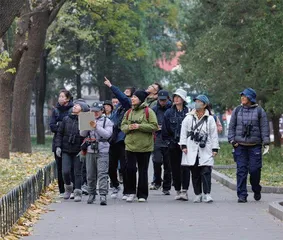 沿中轴线观鸟1