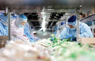 全国工商联开展2025年度重点考察调研