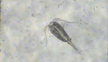 通州生物多样性保护侧影1