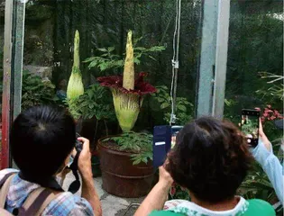 我国生物多样性保护整体局面令人振奋2