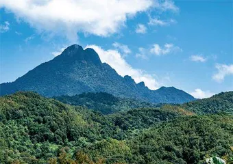 五行山究竟在哪里5