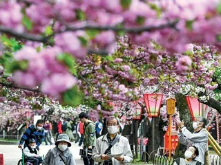 日本如何托住老人的晚年？