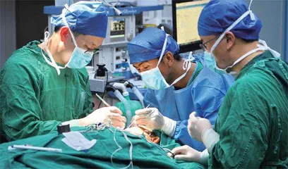 在医学框架下精心雕刻1