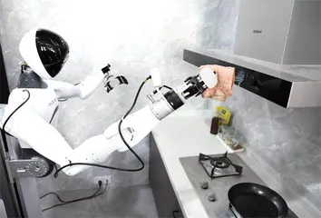 人形机器人：热赛道，冷思考