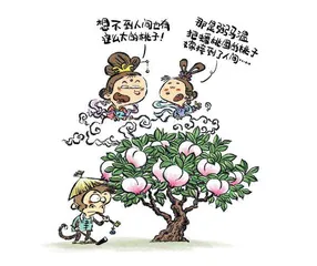 打造爆品水果