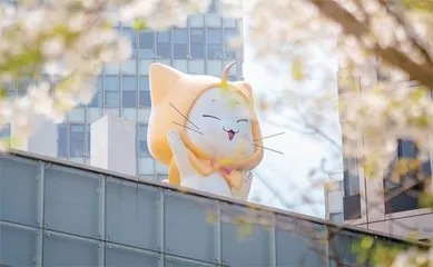 姚润昊：缔造“还可以这样”的游戏人生