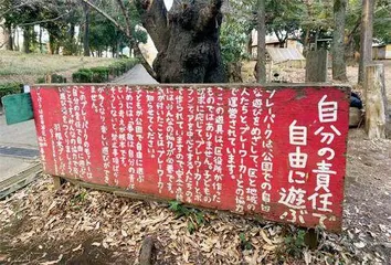 孩子的游乐场,不再是大人说了算6