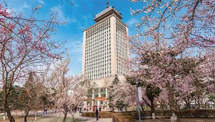 一瓣杏花，千年城韵