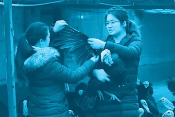 全国人大代表鲁曼:用炽热真心绘就乡村振兴新图景1