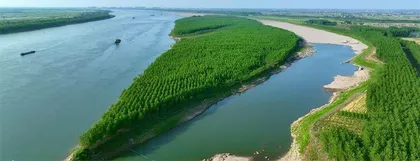 长江十年禁渔走进半程“鱼翔浅底豚欢跃频现荆楚