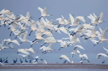 湖南守护好一江碧水