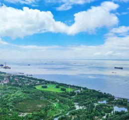 放下鱼叉子 端上新饭碗