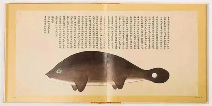 长江可追豚3