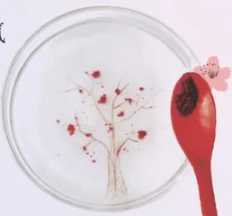 纸上樱花