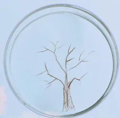 纸上樱花2