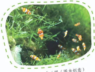 动物童年直播问2