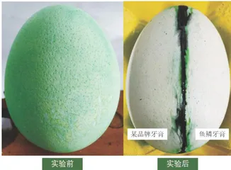 鱼鳞也有大用处6