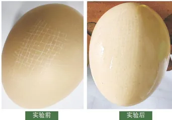 鱼鳞也有大用处7