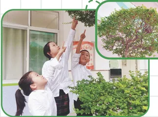 我在徐州趣观鸟4