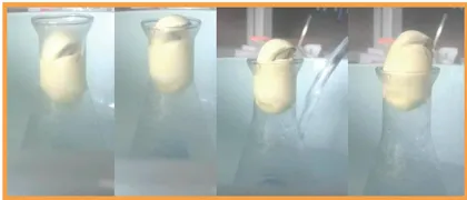 吞吐鸡蛋的魔瓶 