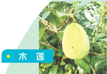 百草园里的植物密码