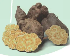 百草园里的植物密码1
