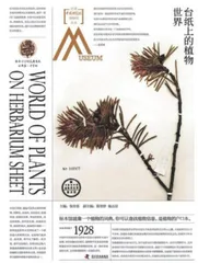 《星汉灿烂:中国天文五千年》等2