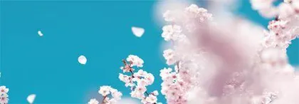 落花有声