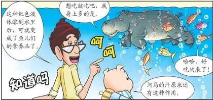 河马为什么满身是“血”3