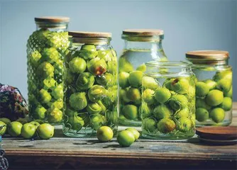 何物与侬供醉眼,半黄梅子带红盐2