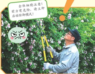 植物“自救程序”