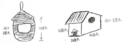 “给小鸟安家”项目学习设计1