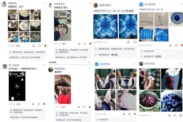 家校共育的项目学习实践4