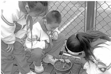 人人都是探究者2